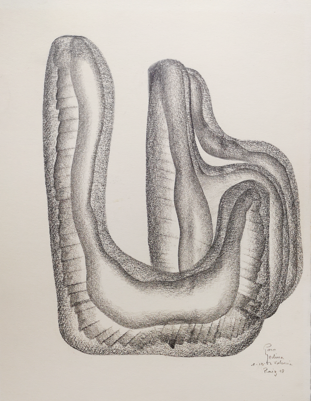 Raiz 18 — Paco Medina