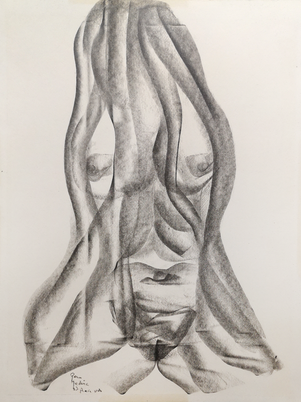 Raíz Ver — Paco Medina