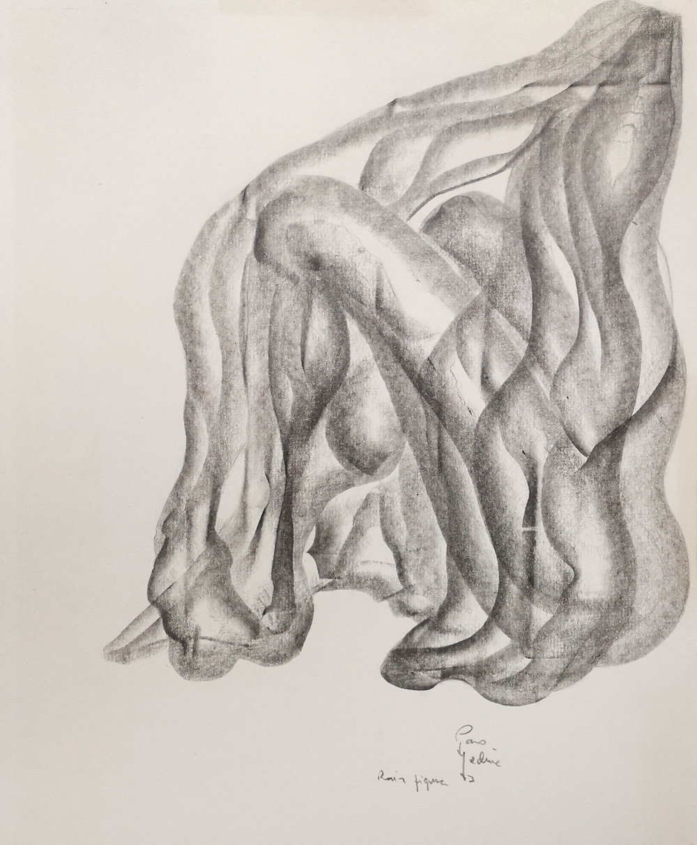 Raíz y Figura — Paco Medina