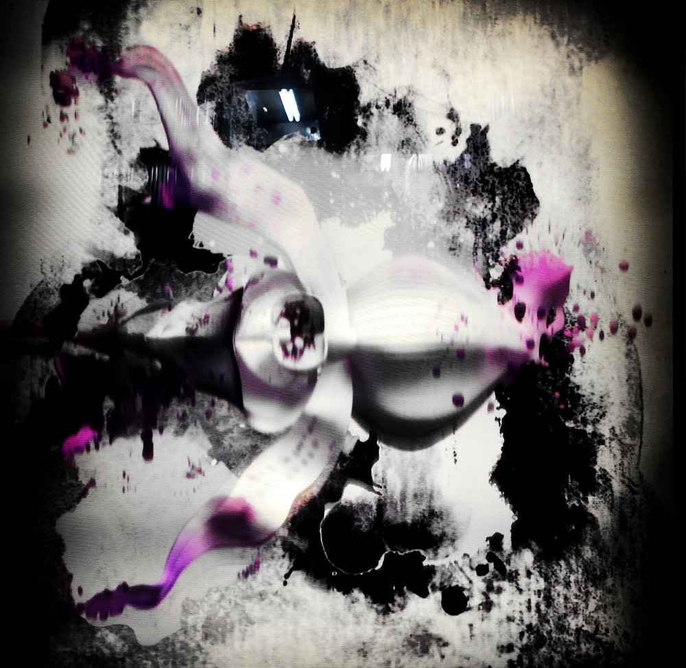 Garden of Digital Delights: Maplethorp  — Ellen Sandor