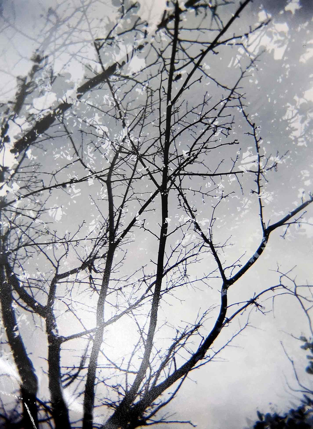 Veraguas — Ela Spalding