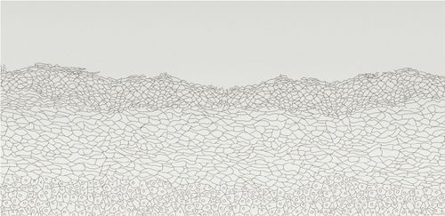  - Epidermis I