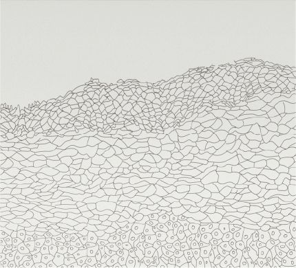  - Epidermis II