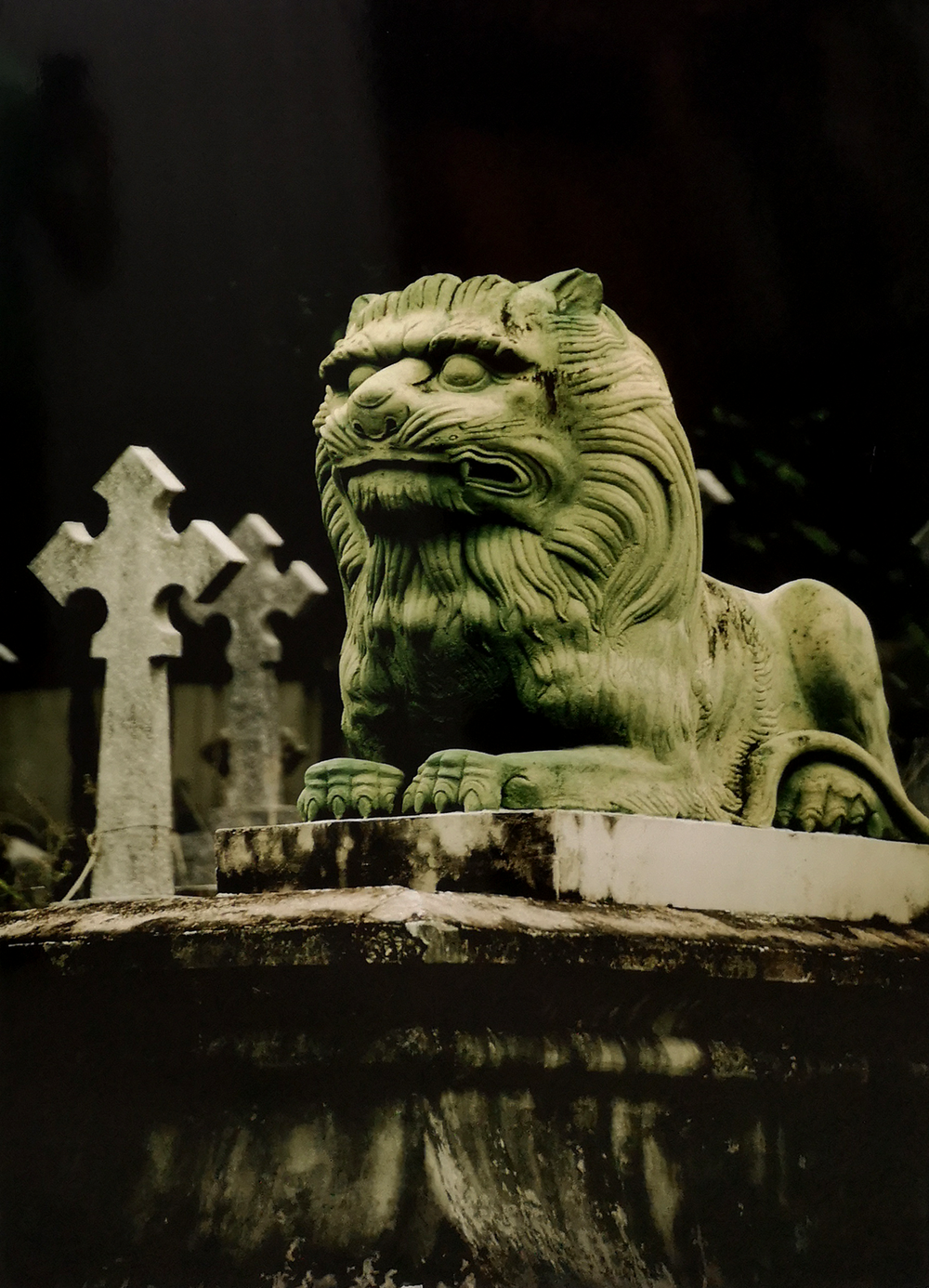 El León del Chorrillo — Fulano Tal
