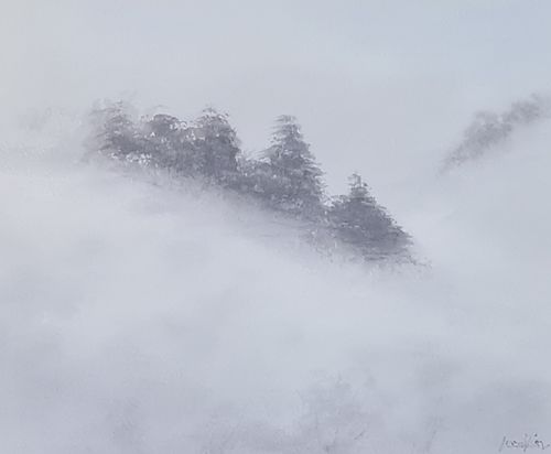 El ulular del viento 