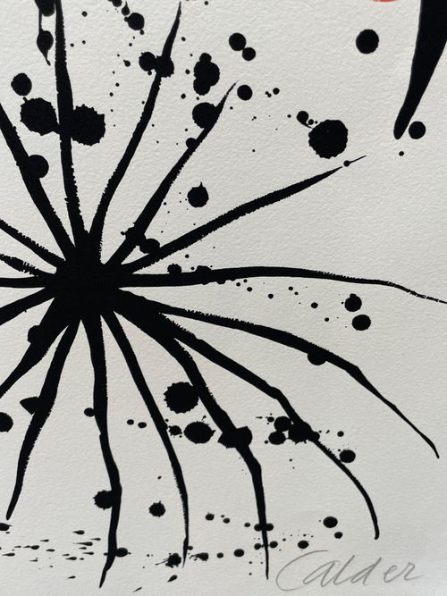 Flies in the Spider Web (150/175)