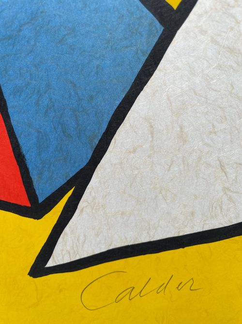 La Mémoire élémentaire, lámina 6